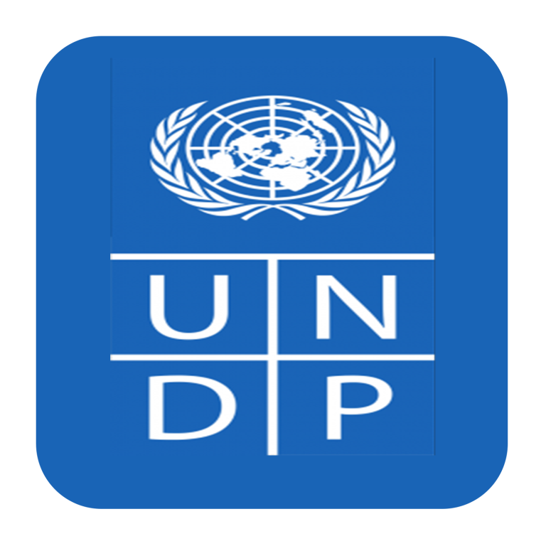 UNDP